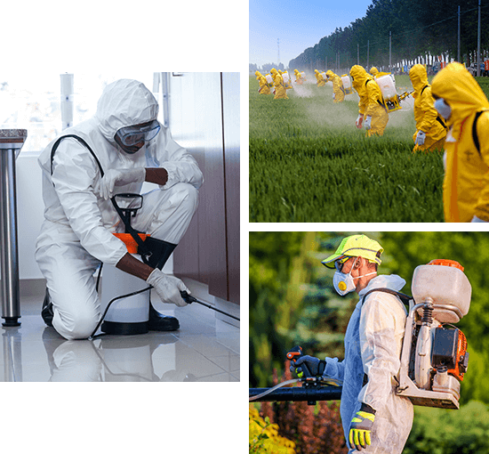 Hi-Tech Pest Management