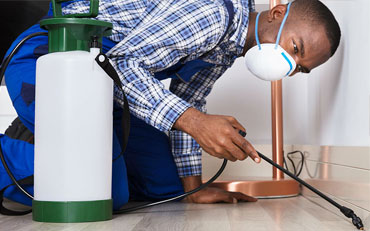 General Pest Service